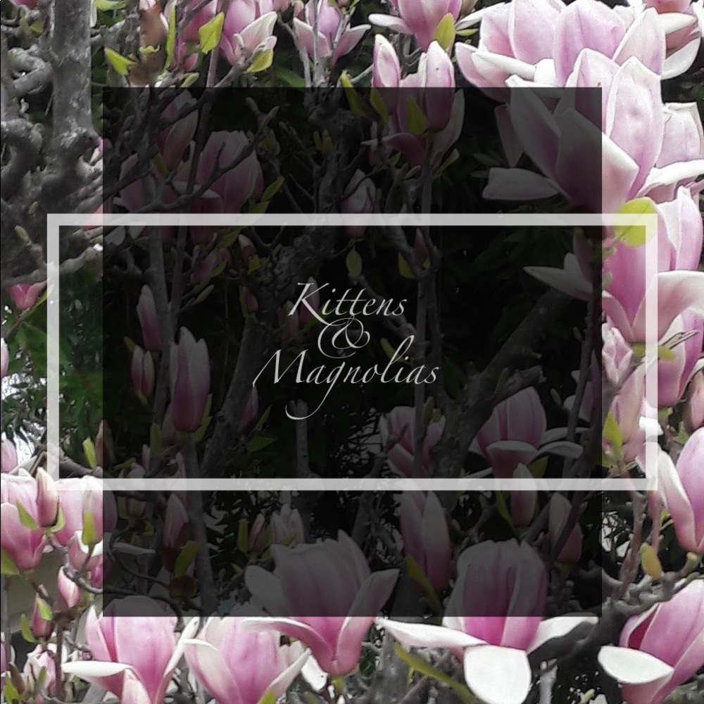 🌿Make an offer!🌿